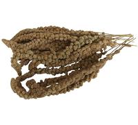 Aimé - Miglio in rami e semi per uccelli 250 g - Snack uccelli domestici a base di miglio - Mangime pappagalli e altri volatili 100% naturale - Aiuta a contrastare la noia e l'ansia - Made in France