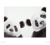 Aimee del valle Les Perplexes 40 x 50 cm stampa artistica, multicolore