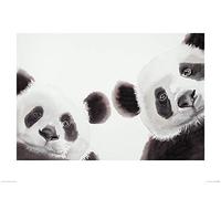 Aimee del valle Les Perplexes 60 x 80 cm stampa artistica, multicolore