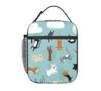 AIMeinn Raining Cats & Dogs Stampa Leggero Scuola Isolato Lunch Bag Portatile Funzionale Tote Famiglia Viaggi College