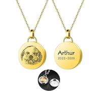 Aina Lighting Collana con medaglione personalizzato in pelliccia di animale domestico, con foto ritratto e perdita di nome di cane e gatto, gioiello regalo per donne e uomini, 45cm, acciaio inox