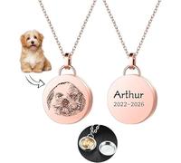Aina Lighting Collana con medaglione personalizzato in pelliccia di animale domestico, con foto ritratto e perdita di nome di cane e gatto, gioiello regalo per donne e uomini, 45cm, acciaio inox