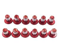 ainih Colorful Front Brake Disc Pad Screw Screws Dirt Bike Off-Road Motorcycle Accessories Compatible with Su&rron Light Bee Sur-ron Sur Ron