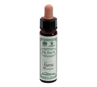 Ainsworths Dr.Bach n°13 Gorse Ulex Europaeus 4x10 ml