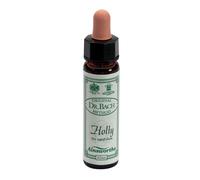 Ainsworths Dr.Bach n°15 Holly Ilex Aquifolium 10 ml Gocce orali