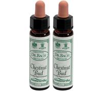 Ainsworths Dr.Bach n°7 Chestnut Bud Aesculus Hippocastanum 2x10 ml