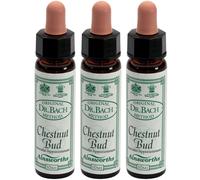 Ainsworths Dr.Bach n°7 Chestnut Bud Aesculus Hippocastanum 3x10 ml