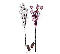 Aio 238 I5 8Gb 512Gb Fdos Bk I5-120U Ips No Tch No Odd Black