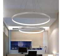 Aioneer Modern Dimmable Ring Pendant Light with Remote Control Adjustable Aluminum Ceiling Fixture Acrylic Shade Chandelier Hanging Lamp for Kitchen Living Bedroom Dining Room Re-60+80cm