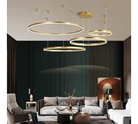 Aioneer Modern Dimmable Ring Pendant Light with Remote Control Adjustable Height Chandelier for Living Room Bedroom Dining Room Stylish Hanging Lamp in Gold 40Cm-Gold-40+60+80+100