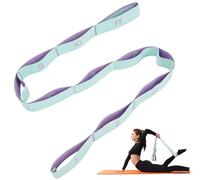 AiQInu Elastico Fasce di Resistenza, Elastici Fitness Yoga Stretching Band con 11 Loops, Fasce Elastiche Fitness per Yoga Pilates Fitnesse Stretching