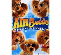 Air Buddies