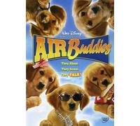 Air Buddies