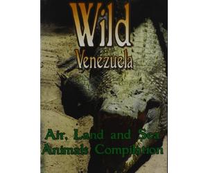 Air, Land and Sea Animals