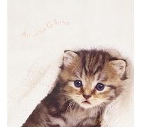 AIR ON THE G STRING ALL STARS