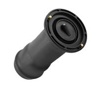 Borsa a sospensione pneumatica posteriore for Land ROVER Discovery 2 RKB101200G