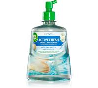 Air Wick Active Fresh Ocean Waves & Sea Salt deodorante ricarica 228 ml