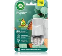 Air Wick Blue Eucalyptus & Cedarwood diffusore elettrico per ambienti con ricarica 19 ml
