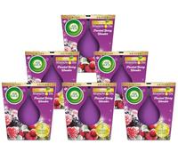 Air Wick Candela profumata in vetro - Fragranza: Frosted Berry Wonder - Fino a 20 ore di durata - Contiene oli essenziali naturali - Set di 6 candele profumate da 105 g, viola