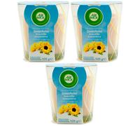 Air Wick Candela Profumata SOMMERBRISE 3 x 105g -Profuma di Estate
