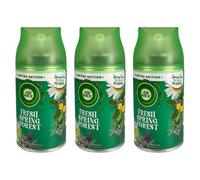 Air Wick Deodoranti Aria Freshmatic Max Ricarica Raumduftspray (3er Pacco) 250ml