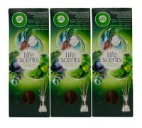 Air Wick Diffusore TROPICALE FORESTA PLUVIALE 3 X 30ml Cocco - Mirtillo - Menta
