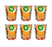 6x Air Wick Edizione Limitata Candela Profumata Caldo Amber Rosa (6x105g)