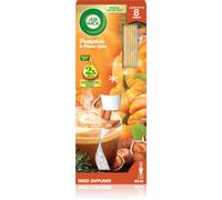 Air Wick Essential Mist Pumpkin & Winter Spice diffusore di aromi con ricarica 30 ml