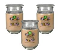 3x Air Wick Grande Candela Profumata Cedro & Mandelblume Con Esentielle Oli 480g