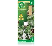 Air Wick Winter Walks&Amber diffusore di aromi con ricarica 42 ml