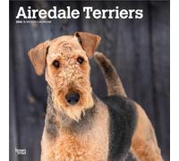 Airedale Terrier 2026 - 16-Monatskalender: Original BrownTrout-Kalender [Mehrsprachig] [Kalender]