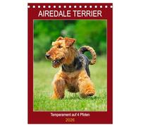 Airedale Terrier - Temperament auf 4 Pfoten (Tischkalender 2026 DIN A5 hoch), CALVENDO Monatskalender: Die größte der Terrierrassen in 12 bezaubernden Bildern