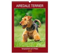 Airedale Terrier - Temperament auf 4 Pfoten (Wandkalender 2026 DIN A3 hoch), CALVENDO Monatskalender: Die größte der Terrierrassen in 12 bezaubernden Bildern