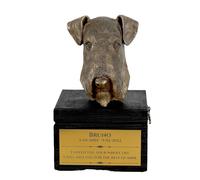 Airedale Terrier urne sulla scatola nera Art-Dog