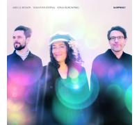 Airelle Besson, Sebastian Sternal & Jonas Burgwinkel Surprise (Vinyl LP)