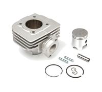 Cilindro In Alluminio AIRSAL (02050541) Per Moto Ricambi Accessori Parti