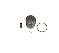 AIRSAL H06138248 KIT PISTONE RIEJU SMX 50 2003