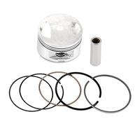 AIRSAL Pistone per Cilindro (060462524)