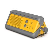 Airthereal PA1K-GO - Generatore di ozono portatile senza fili, a batteria, per auto, camere d'albergo, uffici, bagni e altri piccoli spazi (giallo-grigio)