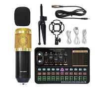 AIRYSSFU Kit scheda audio, BM800 V10XPro Mixer Scheda audio Studio Mixer audio Canto Riduzione del rumore Microfono Voce Trasmissione in diretta Telefono Registrazione computer(V10XPro Set C)