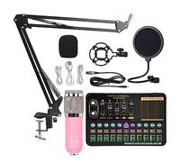 AIRYSSFU Kit scheda audio, BM800 V10XPro Mixer Scheda audio Studio Mixer audio Canto Riduzione del rumore Microfono Voce Trasmissione in diretta Telefono Registrazione computer(V10XPro Set A2)