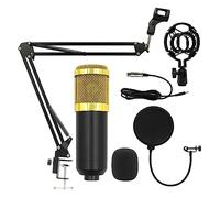 AIRYSSFU Kit scheda audio, Kit microfono a condensatore professionale V8 Scheda audio Karaoke con supporto for microfono Condensatore USB MIC Live Streaming(BM800)