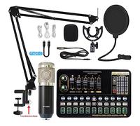 AIRYSSFU Kit scheda audio, Microfono a condensatore professionale BM 800 Scheda audio wireless V10 PRO for PC Computer Telefono Karaoke Gioco di canto dal vivo(Silve BM800 V10XPRO)
