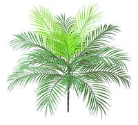 Aisamco Artificiale Tropicale Foglia di Palma Cespuglio Pianta artificiale in verde 1 Pz Plastica Areca Pianta di palma 15 Foglie 63 cm di altezza per vegetazione tropicale Accento floreale