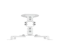 Supporto pivotante universale Aisens - Soffitto inclinabile per proiettore - Fino a 13,5 kg - Colore - Nouvo