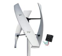 AISINILALAO Generatore di Energia Eolica per Esterni da 4000 W