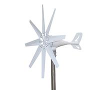 AISINILALAO Generatore Eolico 12V/24V/48V, Kit Generatore Eolico A 8 Pale da 5000 W, con Controller MPPT, velocità del Vento Iniziale 2,5 M/S, per Casa, Fattoria, Barche,48v