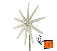 AISINILALAO Kit Generatore Eolico 5500W 12V 24V 48V Senza Rumore a 10 Pale, Motore Eolico Verticale con Kit Controller di Carica per Uso Domestico (Bianco),24v