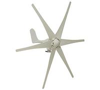 AISINILALAO Kit Generatore Eolico Domestico da 6000W, con 6 Pale e Regolatore di Carica, Adatto per Cortili/Strade, Generatore Eolico a Basso Rumore (12V/24V/48V),220v