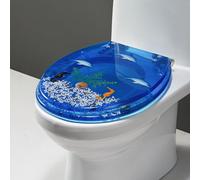 AITEKODVG Sedile del Bagno Trasparente a Resina Trasparente Dryfal 14,2 "x 16,5" Coperchio Toilette e Sedile Rotondo Vicino al Bagno con Acciaio Inossidabile, Blu, Blu, Blu, Blu, Blu, Blu, Blu, Blu,